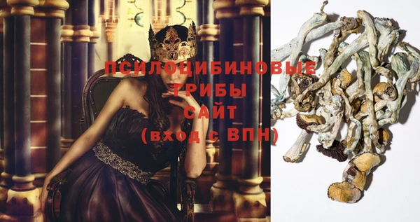 бутират Богданович