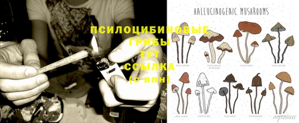синтетический гашиш Богородицк