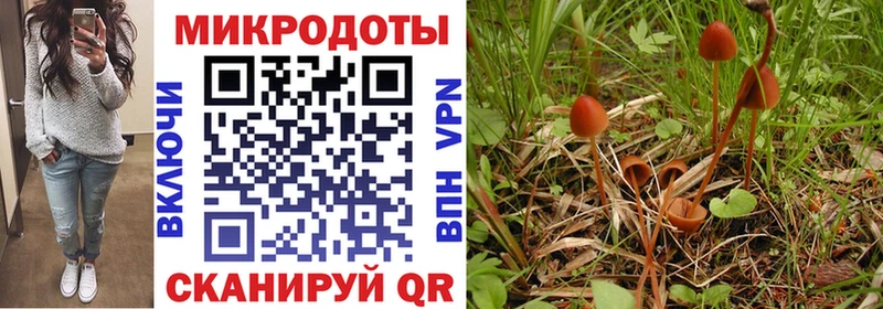 Галлюциногенные грибы Cubensis  где можно купить   Невель 